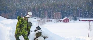TACP ska leda flyget rätt