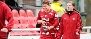 Skadedrabbat Piteå