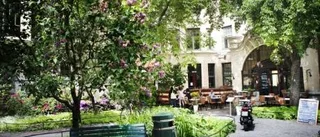 Stockholmspärlor bortom turiststråken