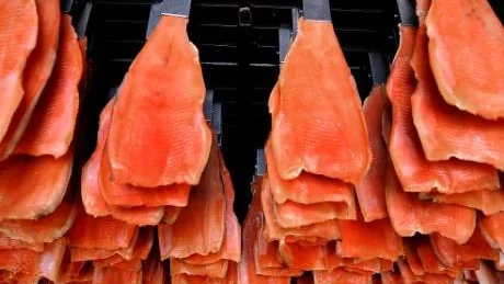 GODSAKER. En himmelsk doft slår emot en när man öppnar dörren till rökkåtan. Här hänger fina regnbågsfiléer på rad.