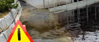 Vårfloden saknar krisförtecken