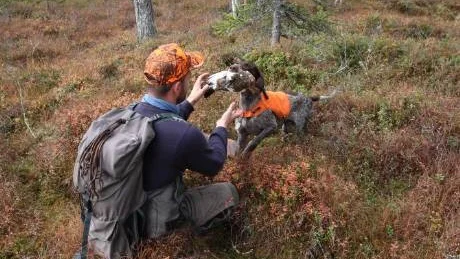VID MYRKANTEN. Myrkanter uppskattas ofta av dalripor som lever i skogen.  Det lönar sig att lära känna sina jaktmarker utan och innan.