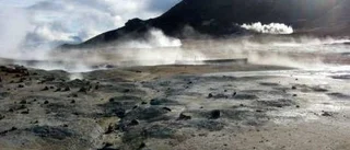 "Slakt är helt naturligt"