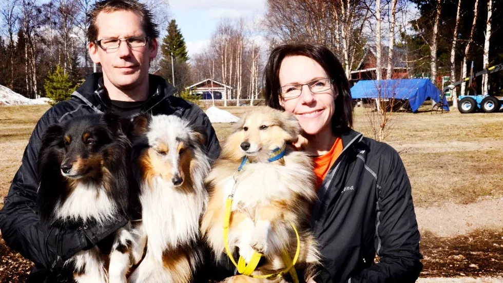 Familjeintresse. Kennet Nilsson och Lena Nordlund tävlar med hundarna Kajza, Storm och Zaga, med siktet ställt på SM-guld i sommar.