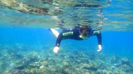 Här snorklar vi under ytan vid det stora barriärrevet. En häftig upplevelse, men det var ändå bara en försmak inför dykningen.