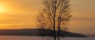 Dagens väderbild