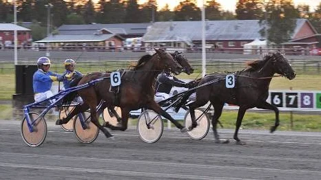 Knnallhård spurtstrid i Midsommarkransen men invändige Tresor D"Inverne (nr 3) lyckas hålla undan för attackerande Kung Töll (nr 6) på utsidan.