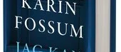 Början bättre än slutet i Fossums nya deckare