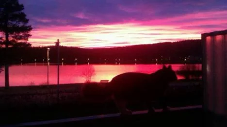 En skimrande vacker novemberkväll över Nyborgstjärn i Arvidsjaur.