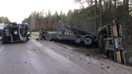 Kraschen när den tyskregistrerade lastbilen gick av vägen blev så våldsam att hytten där föraren satt obältad, formligen slets av chassit.