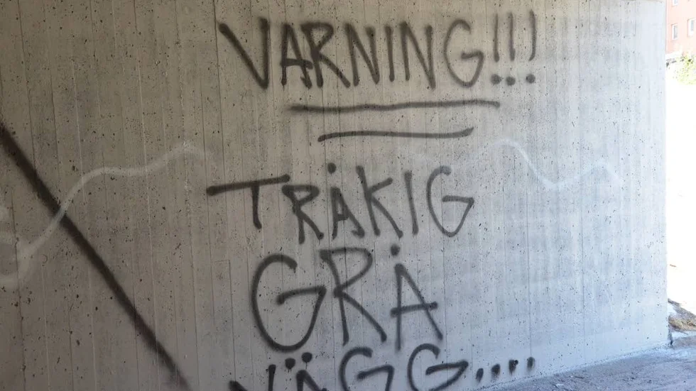 Ogillar. Klottraren ogillar uppenbart kommunens övermålning av graffitin.