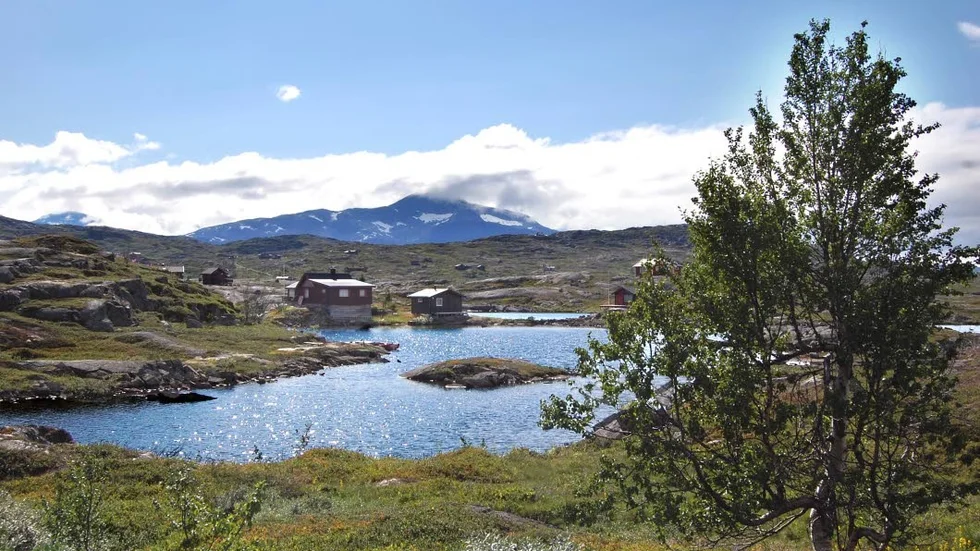 Skärgård. Där Rallarvägen precis går över gränsen, i Björnfjell, finns ett märkligt landskap med klippor och småsjöar som påminner om en skärgård.