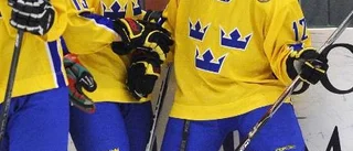 Tog chansen