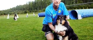 Löjromshoppet avklarat