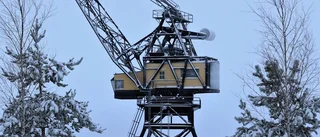 Läsarbilden: Vinterkran