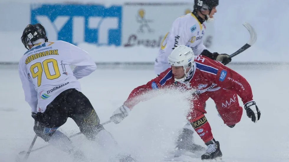Kalix Bandy-Gripen 5–1.