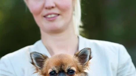VINNARE. Elin Ahlard och chihuahuan Minitrollets crazy for you tog hem valpklassen.