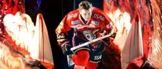 Luleåback till hockeyallsvenskan