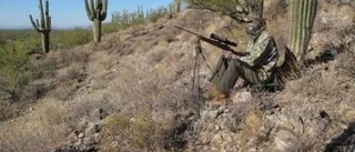 Vallfärd till Arizonas halvöken