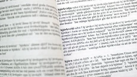 MALÅMÅL. Mandor Näslund är uppvuxen i Malå i Västerbotten. Nu är han färdig med en tjock ordbok i två delar över Malåmålet. Ett arbete som tagit flera år.