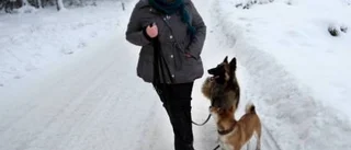 Effektiv träning på en kvart