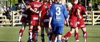 Han vill göra Piteå IF allsvenskt