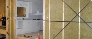 Exporterar kunskap om prefabricerade hus