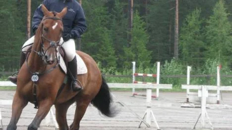 Julia Lundgren och Cartell representerar Piteå RK i elitserien i Högbo kommande helg. (Arkivbild)