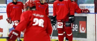 Elitseriemeriterade Erik förstärker Piteå