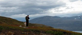 Fjälljaktsfrågan nära avgörande