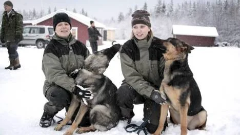 Två busiga blivande försvarsmaktshundar, schäferhundarna Råttan och Mira, med mattarna Annika Karlsson respektive Jessica Blomberg.