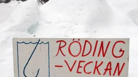 Då den här skylten är uppsatt vid infarten till Jan och Marianne Thorfves stugby i Adolfström, då handlar det mesta om fiske.