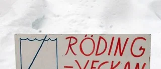 Många nappar på 25:e rödingveckan
