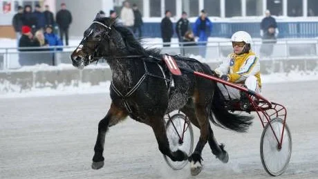 V4-3, Tele Best, krsven Olle Svensson, Peabravet Boden.
2008-11-27
Foto: Jens Bckstrm