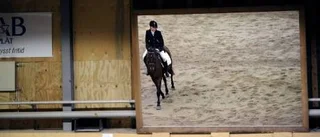 Elin och vinnarmelodyn