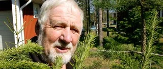 Douglasgranen på tillväxt i länet