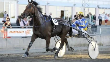 vinnare. Femårige Ronis Verner vann V5:4. En seger som inte överraskade ägaren och tränaren Kurt Andersson. Foto. JENS BÄCKSTRÖM/EUROBILD