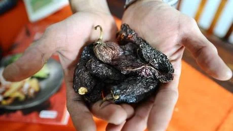 IMPORTERAR SJÄLV. Torkad chilifrukt är en vanlig ingrediens i det mexikanska köket.