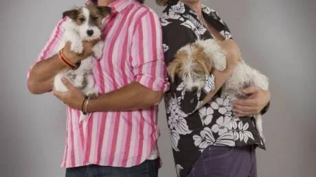DOGDUO. Designduon Simon och Tomas har två jackrusselterrier som heter Percy och Pooter.