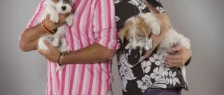 Kär hund -värd namnet