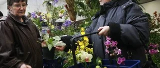 En explosion i färg och form