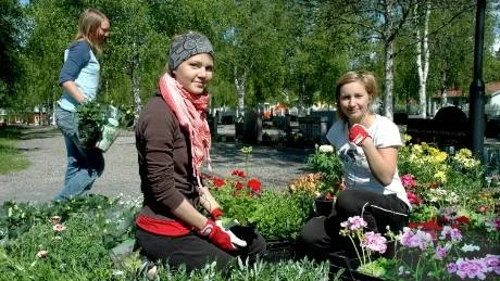 SOMMAR. Kyrkogårdsplanteringarna är ett sommartecken som bland annat Elin Nyström och Jenny Jakobsson bidrar till . I bakgrunden Anna Sandberg.  Foto: Britt-Louise Spets