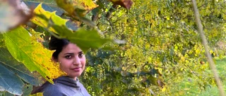 Halah har väntat ett år på förnyat uppehållstillstånd: "Jag kan inte träffa min familj"