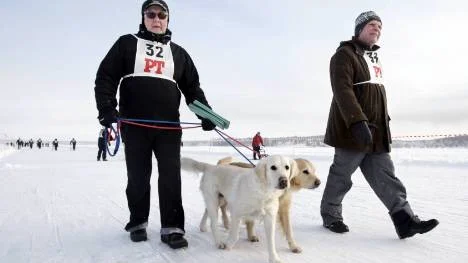 Ingvar Lundström (med golden retriever-hundarna Zunny och Tilde) och Lars-Olof Pettersson tog sig runt Fårön till fots.