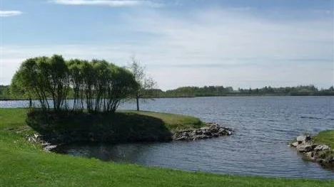 Södra hamnen i Piteå - ett vackert promenadstråk - nu när det börjat grönska.