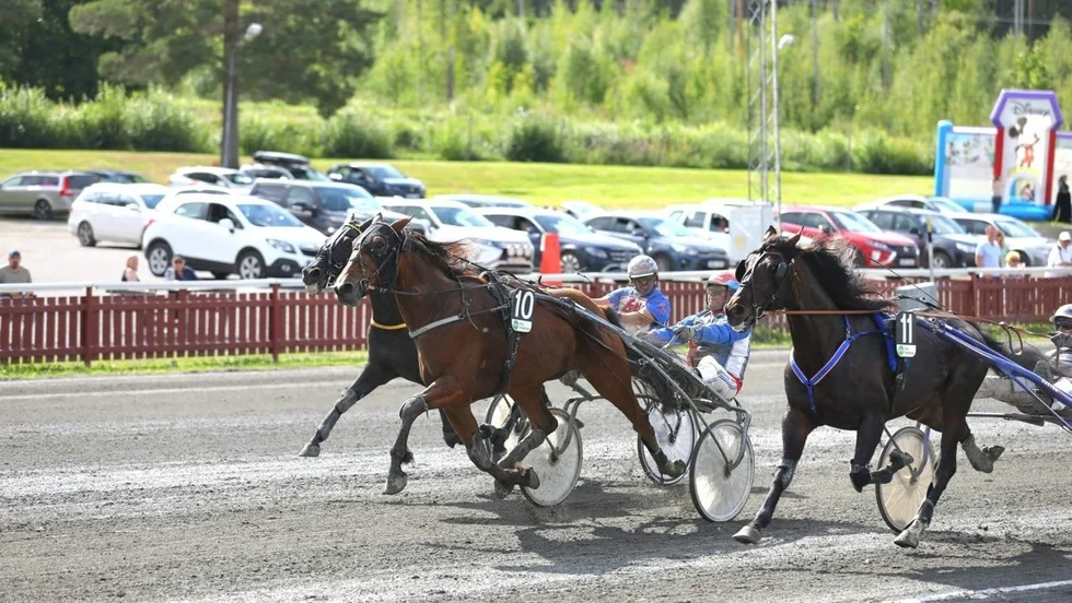 Roger Nilsson spräcker nollan med Mellby Javier när ekipaget plockar ned Rosé Run Voyage i sista steget 