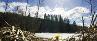 Vårvärme i helgen