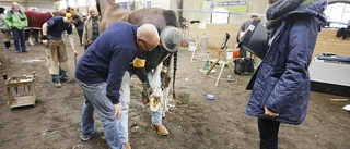 Hovslagare gjorde upp på Rockelstad