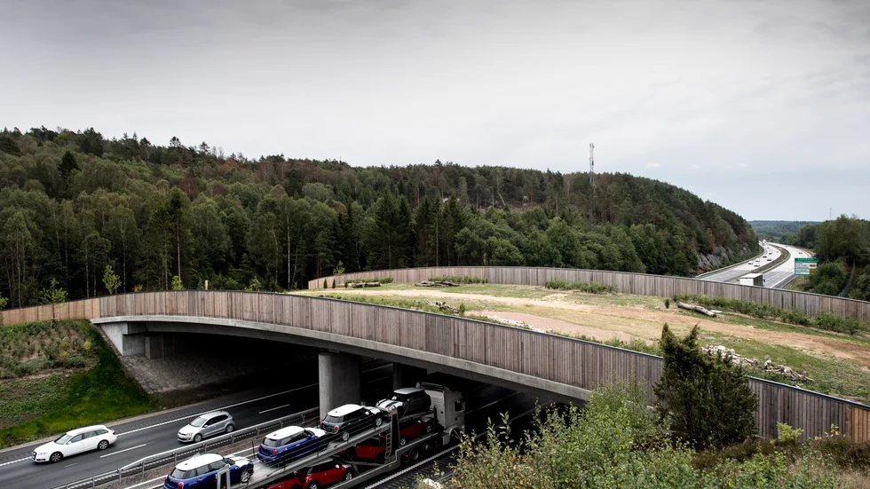 Trafikverket har igångsatt bygget av en ny faunabro över E4:an vid Raggdynan, väster om Kalix. (Arkiv)