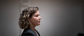 Åklagaren: Klarare bild av bilmordet